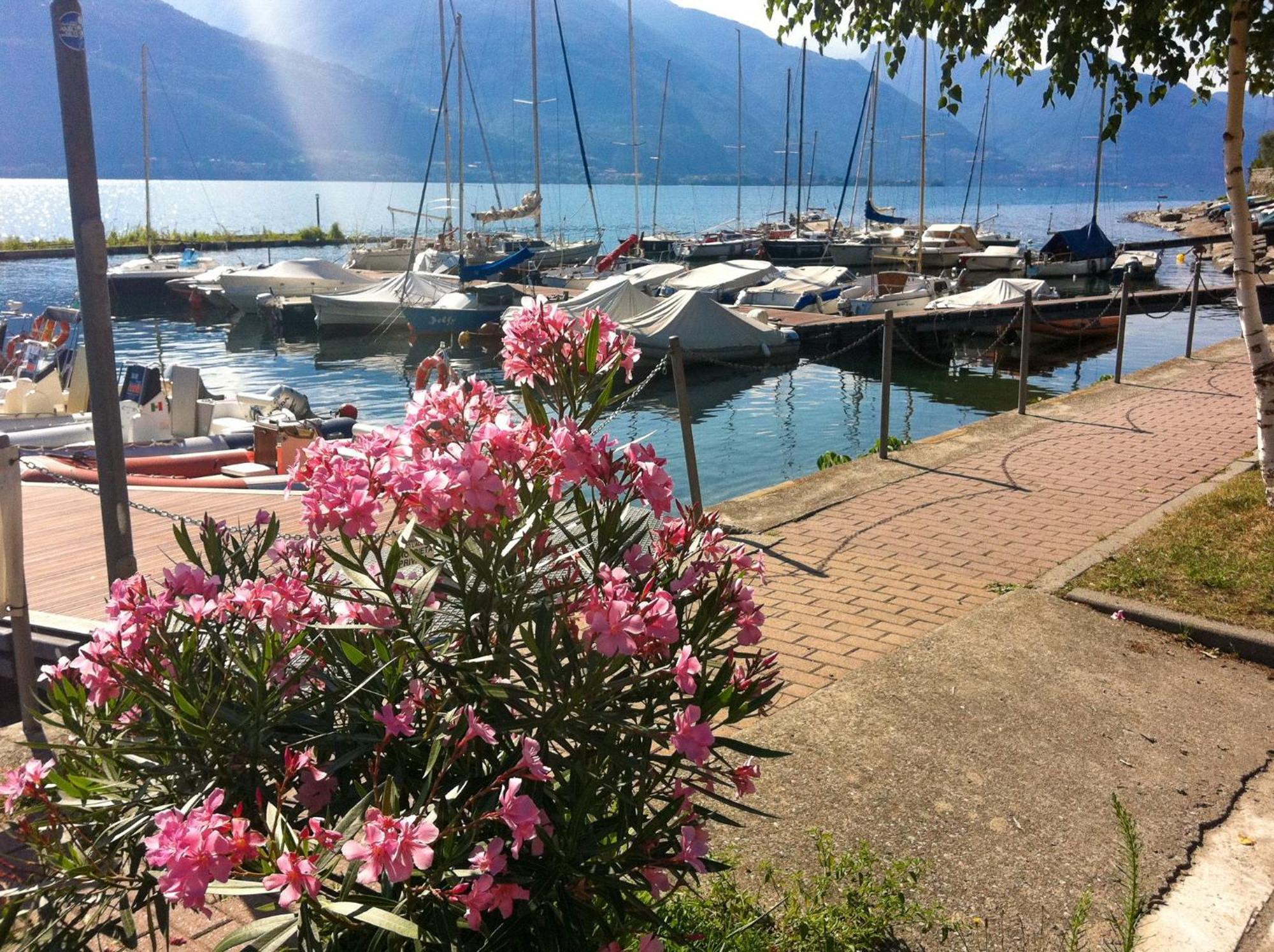 Tre Terre Ferienwohnung Pianello Del Lario Eksteriør billede
